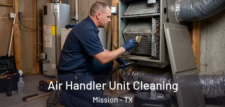 Air Handler Unit Cleaning Mission - TX