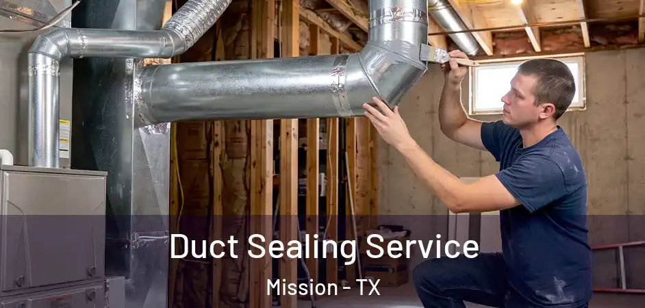  Duct Sealing Service Mission - TX