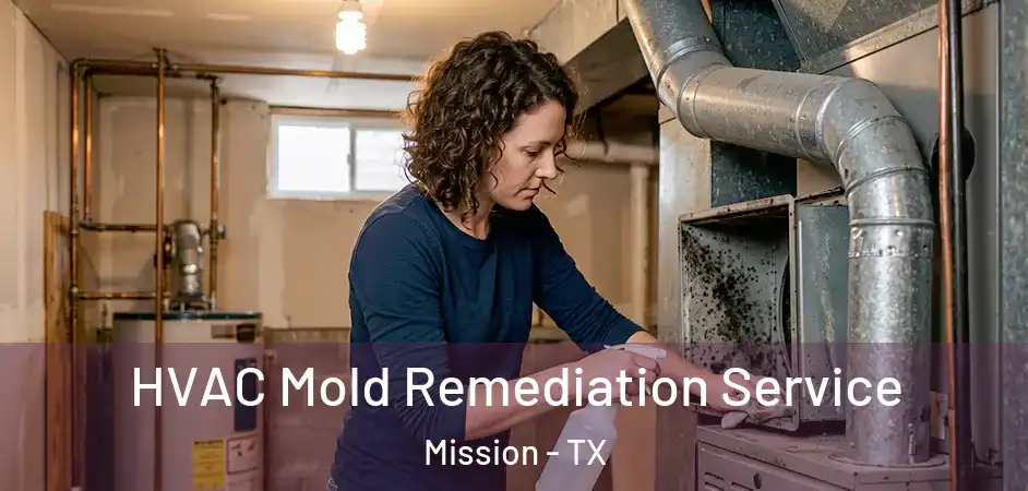 HVAC Mold Remediation Service Mission - TX