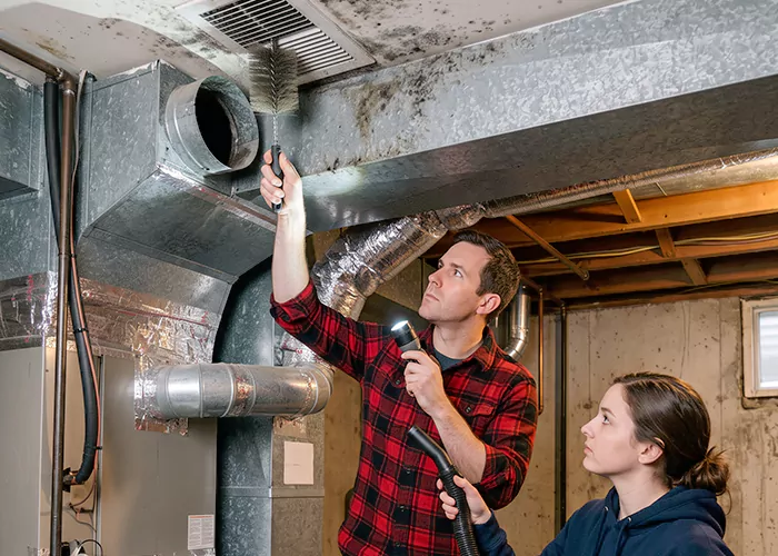 Premier HVAC Mold Remediation Company in Mission